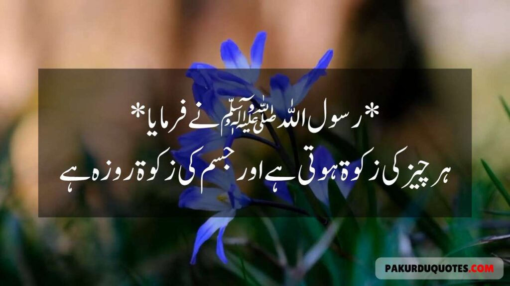 Islamic Quotes In Urdu